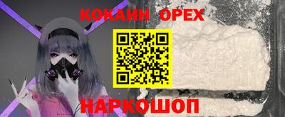 шишки Обь