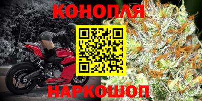 шишки Обь