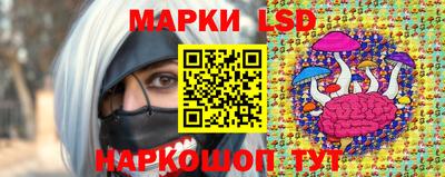 шишки Обь