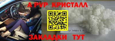 шишки Обь