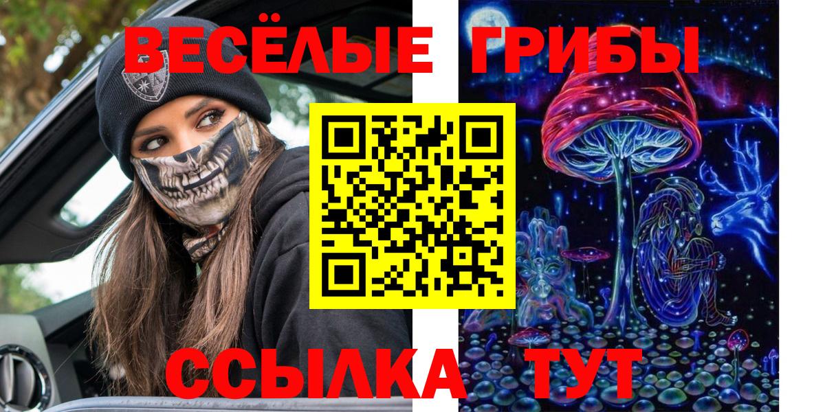 Псилоцибиновые грибы ЛСД Саров