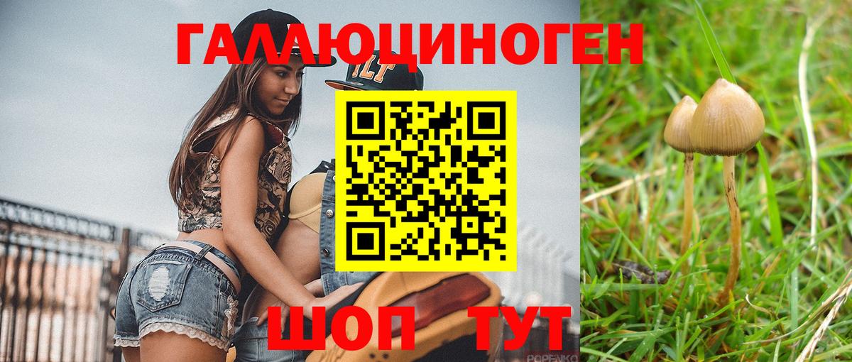 Галлюциногенные грибы мухоморы  Галлюциногенные грибы мицелий  Саров  Вход с VPN 